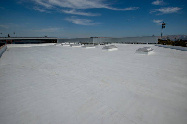 Best Emergency Roof Repair Services  in Cambridge, IL