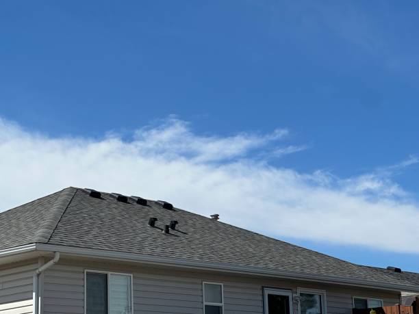 Best Metal Roofing Installation  in Cambridge, IL